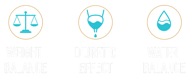 Иконки: Weight Balance, Diuretic Effect, Water Balance